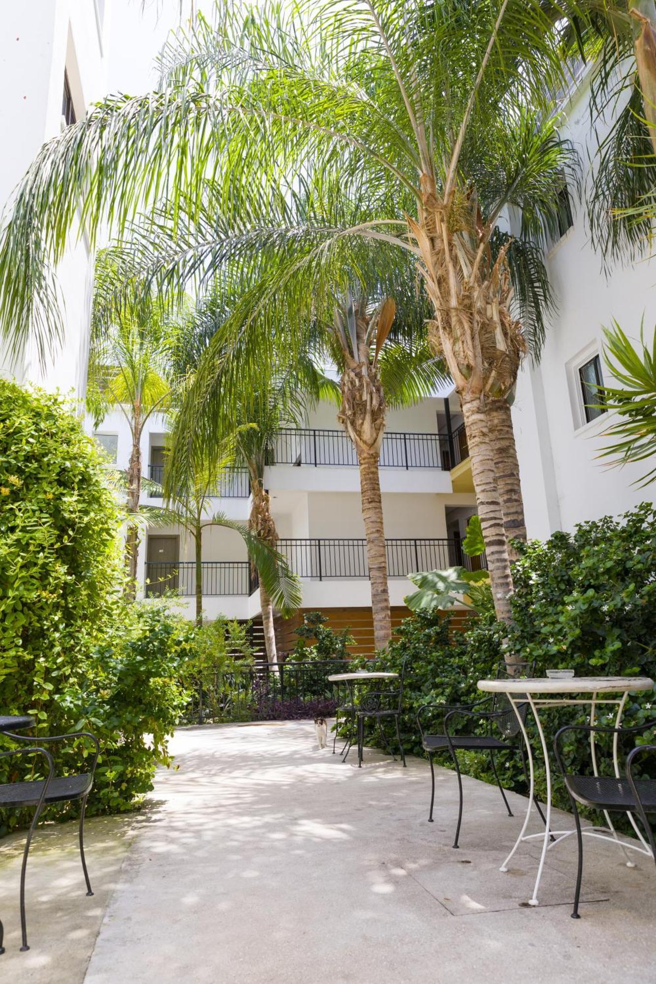 Alecos Hotel Apartments パ フォス エクステリア 写真